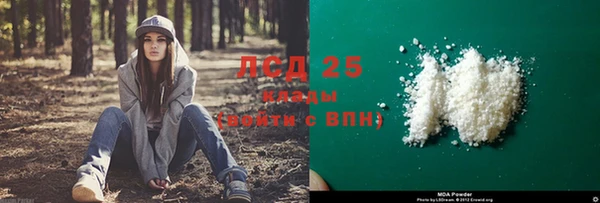 ГАЛЛЮЦИНОГЕННЫЕ ГРИБЫ Лагань