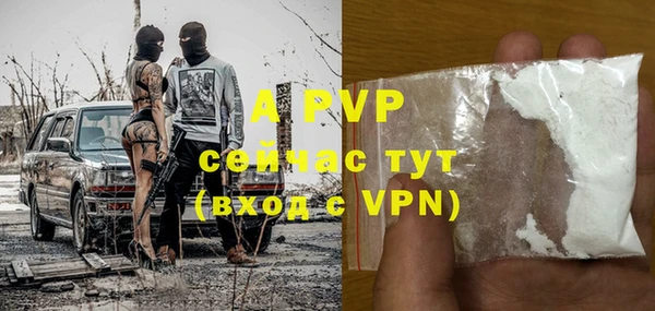 ГАЛЛЮЦИНОГЕННЫЕ ГРИБЫ Лагань