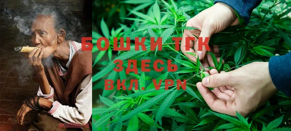ГАЛЛЮЦИНОГЕННЫЕ ГРИБЫ Лагань
