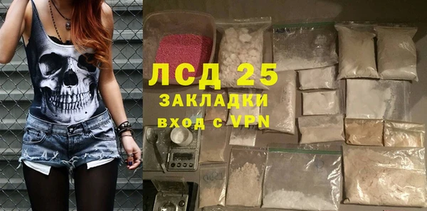 ГАЛЛЮЦИНОГЕННЫЕ ГРИБЫ Лагань