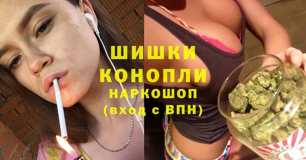 ГАЛЛЮЦИНОГЕННЫЕ ГРИБЫ Лагань