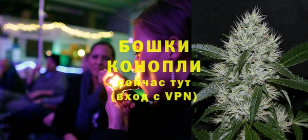 соль ск Липки