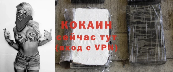 ГАЛЛЮЦИНОГЕННЫЕ ГРИБЫ Лагань
