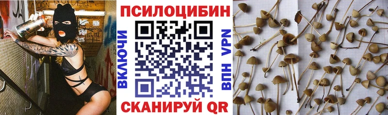 Псилоцибиновые грибы мухоморы  Сычёвка 